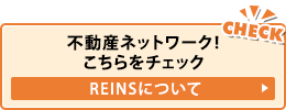 REINSについて